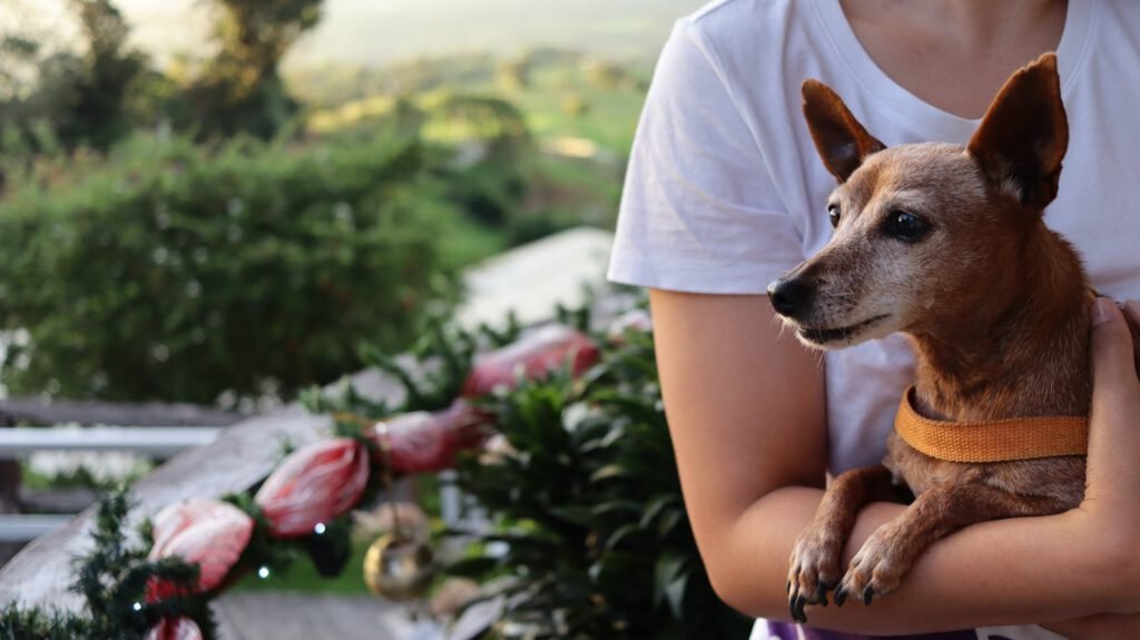 Persona abrazando a su perro con cariño
