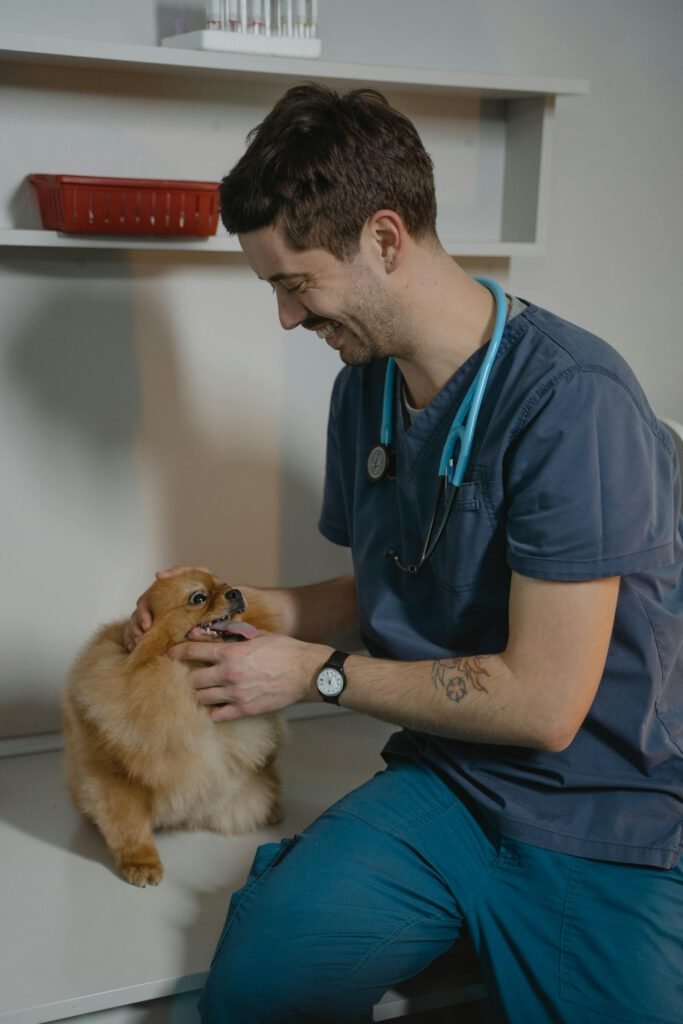 Veterinaria sosteniendo con cariño a un perro en la clínica
