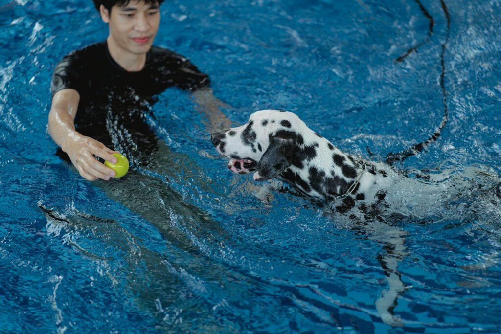 Perro en una sesión de rehabilitación