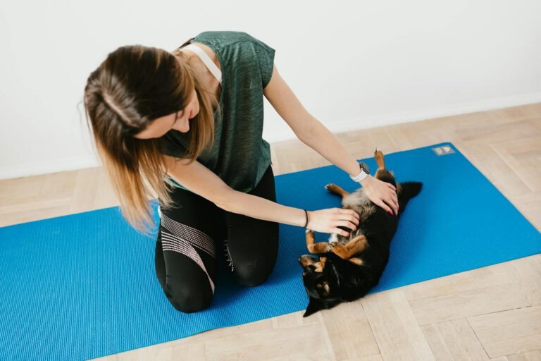 Perro en una sesión de rehabilitación