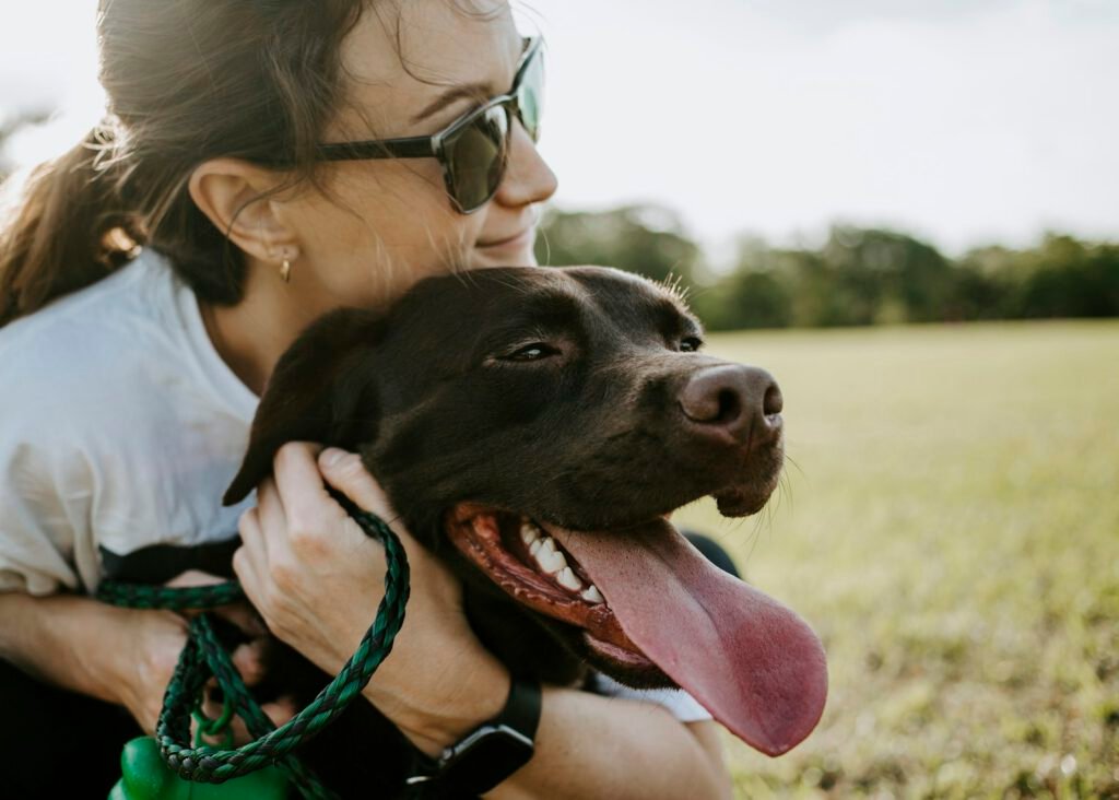 Cuidado cercano de una mascota en Sophia